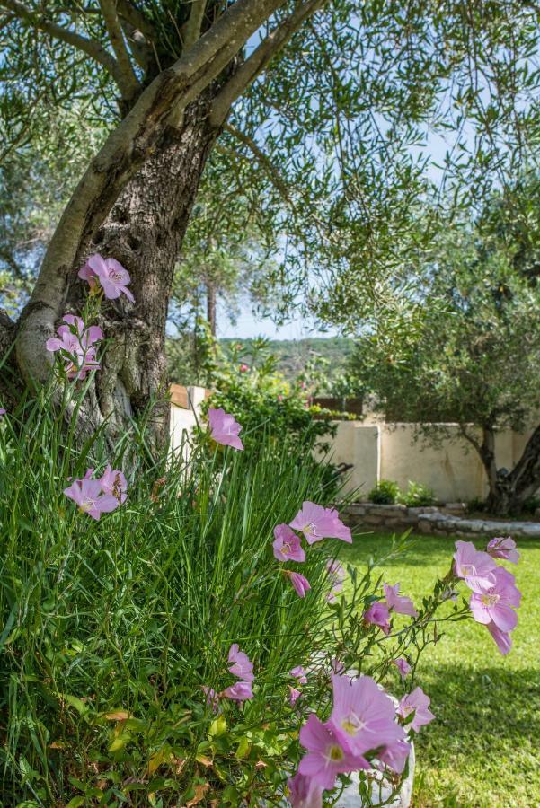 Corfu Villa Linea Línia Zewnętrze zdjęcie