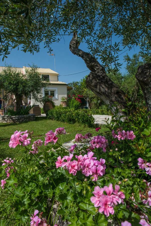 Corfu Villa Linea Línia Zewnętrze zdjęcie