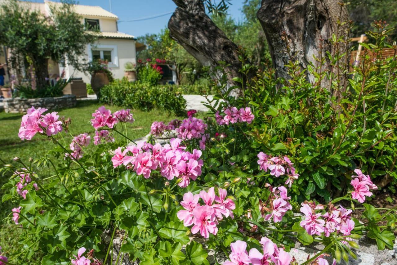Corfu Villa Linea Línia Zewnętrze zdjęcie