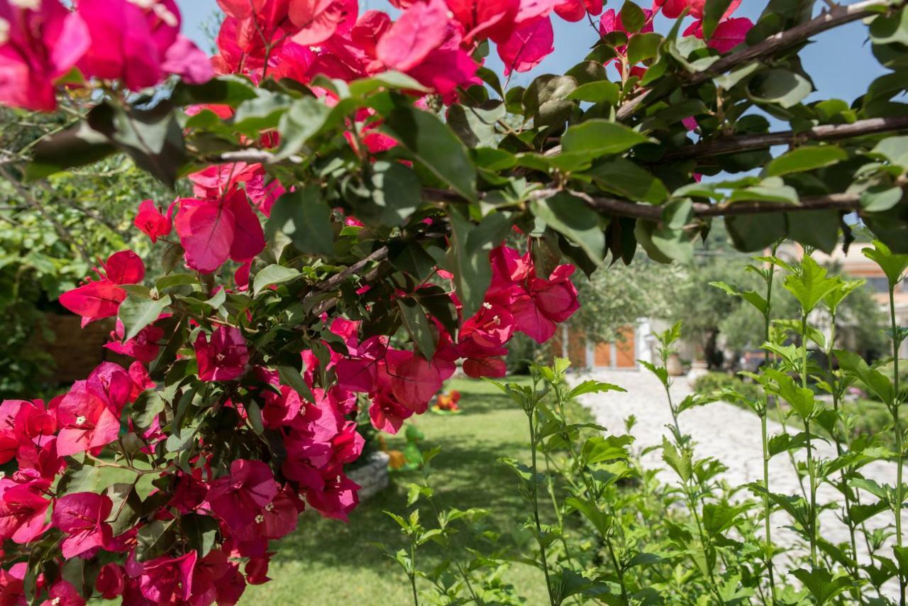 Corfu Villa Linea Línia Zewnętrze zdjęcie