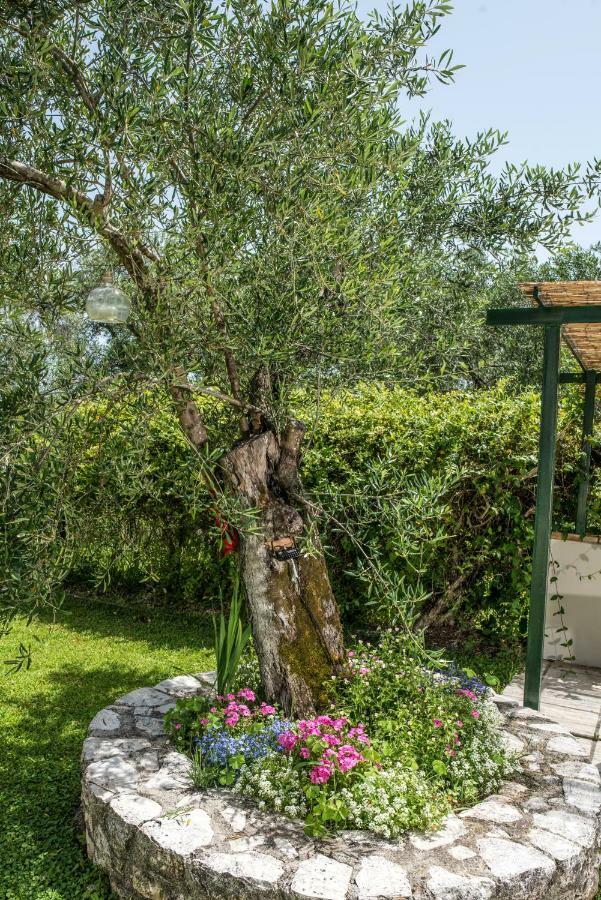 Corfu Villa Linea Línia Zewnętrze zdjęcie